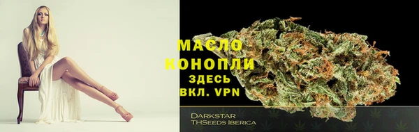 эйфоретик Елизово