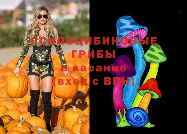 твердый Белокуриха