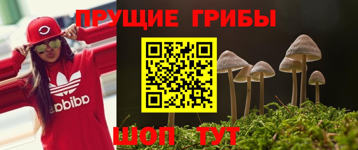 Галлюциногенные грибы Psilocybe  Галлюциногенные грибы ЛСД  как найти   Вход с VPN  Ногинск 