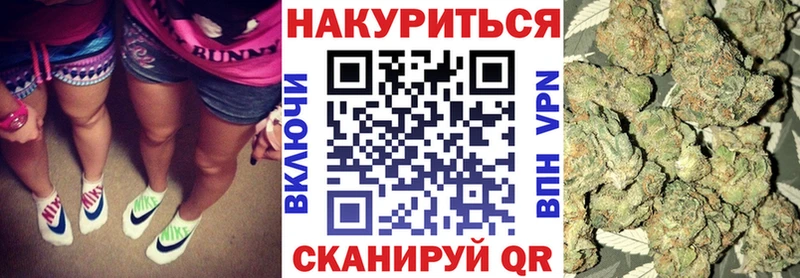 хочу наркоту  Ногинск  Конопля ГИДРОПОН 